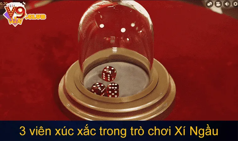Cách Chơi Xí Ngầu Tại Casino Trực Tuyến Từ A Đến Z 2025 175 3 viên xúc xắc với các mặt số 1 đến 6 trong trò chơi Xí Ngầu